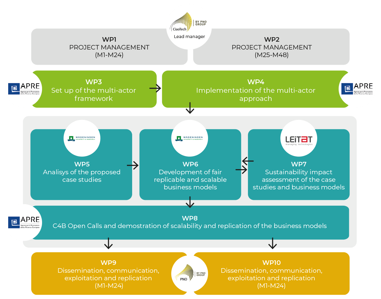 C4B workplan